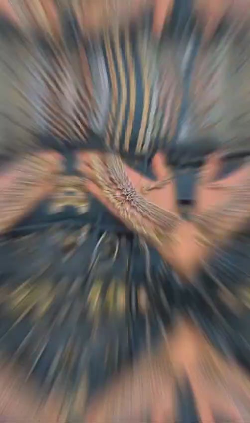 Kundan Chokar Necklace Set